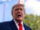 Trump llama "gordo" a un manifestante mientras es expulsado a golpes