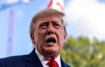 Ordenan detener tala de árboles en campo de golf vinculado a Trump