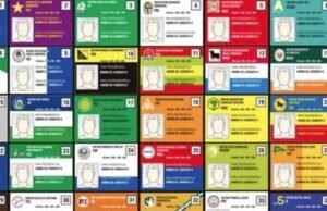 Financiamiento público para los partidos minoritarios en disputa