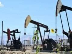 Bolsas Estados Unidos avanzan por precios petróleo en descenso