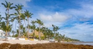 Sargazo: el Caribe enfrenta una nueva normalidad en 2026