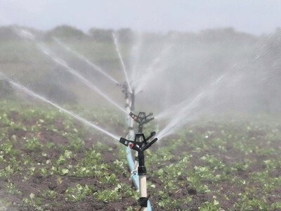 sequia-golpea-al-sector-agropecuario-en-republica-dominicana-3de4a352-focus-0-0-400-300