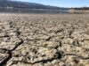 Inglaterra y Gales viven su julio más seco desde que tienen registros