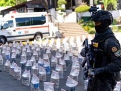 Senado estudia proyecto para despenalizar a consumidores de drogas