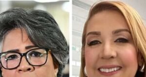 Una propuesta de reforma al Código Penal incluye violencia vicaria
