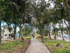 Vecinos de Villa Carmen exigen rescate de parque comunitario