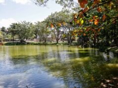 Vecinos luchan por rescatar laguna comunitaria en Paraíso del Caribe