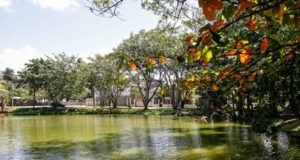 Vecinos luchan por rescatar laguna comunitaria en Paraíso del Caribe