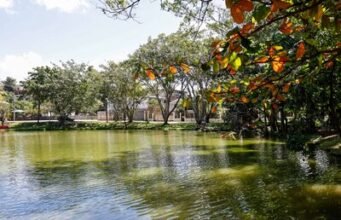 Vecinos luchan por rescatar laguna comunitaria en Paraíso del Caribe
