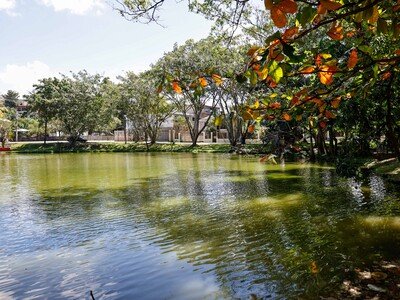 vecinos-luchan-por-rescatar-una-laguna-comunitaria-8a33a5d2-focus-0-0-400-300