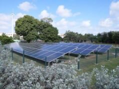 RD suma 40 proyectos renovable y avanza a la transición energética