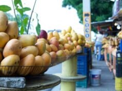 Agricultura adopta medidas para fortalecer exportaciones de mangos