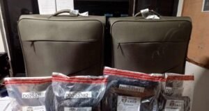 Arrestan a estadounidense con cocaína en AILA