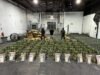 Hallan cocaína en cargamento de piña que sería enviado a Afganistán