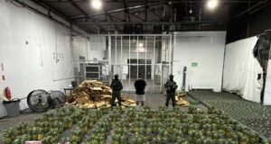 Hallan cocaína en cargamento de piña que sería enviado a Afganistán
