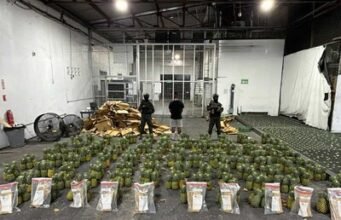Hallan cocaína en cargamento de piña que sería enviado a Afganistán